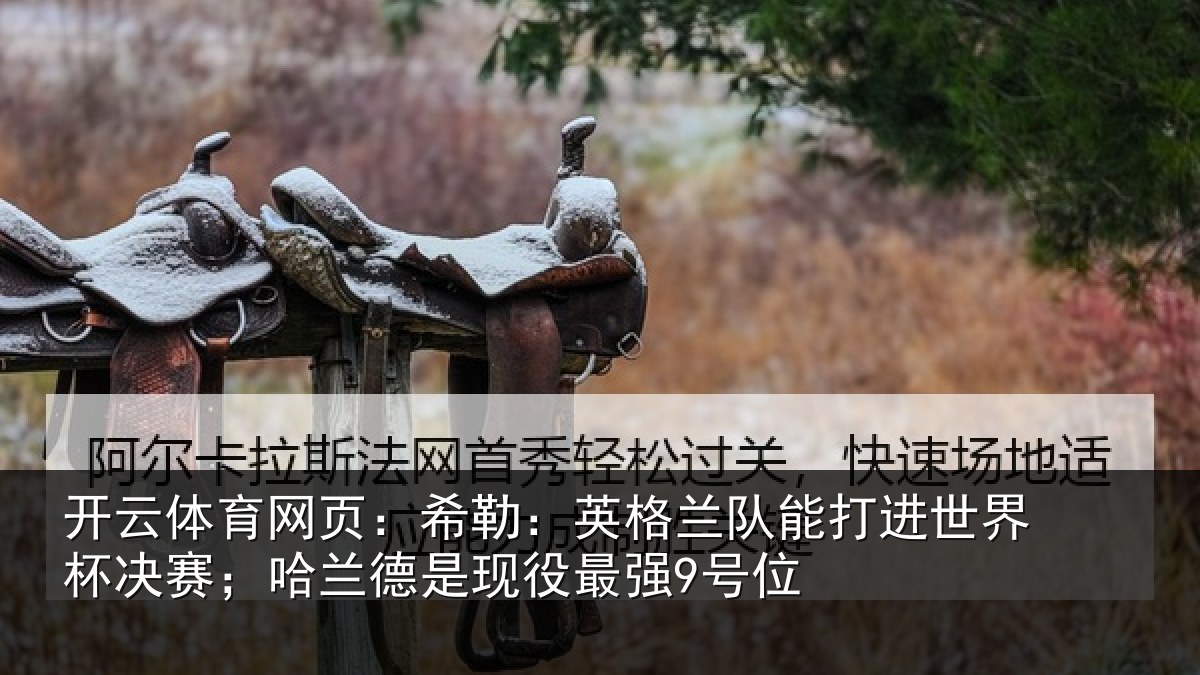 开云体育网页：希勒相关情况界杯相关情况最强9号位